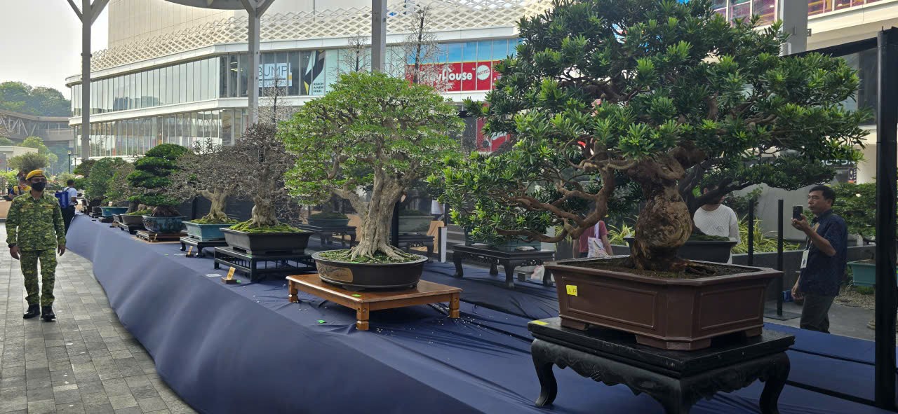 Hội Sinh vật cảnh Việt Nam tham dự Triển lãm Bonsai Thế giới tại Malaysia Hội Sinh vật cảnh Việt Nam tham dự Triển lãm Bonsai Thế giới tại Malaysia