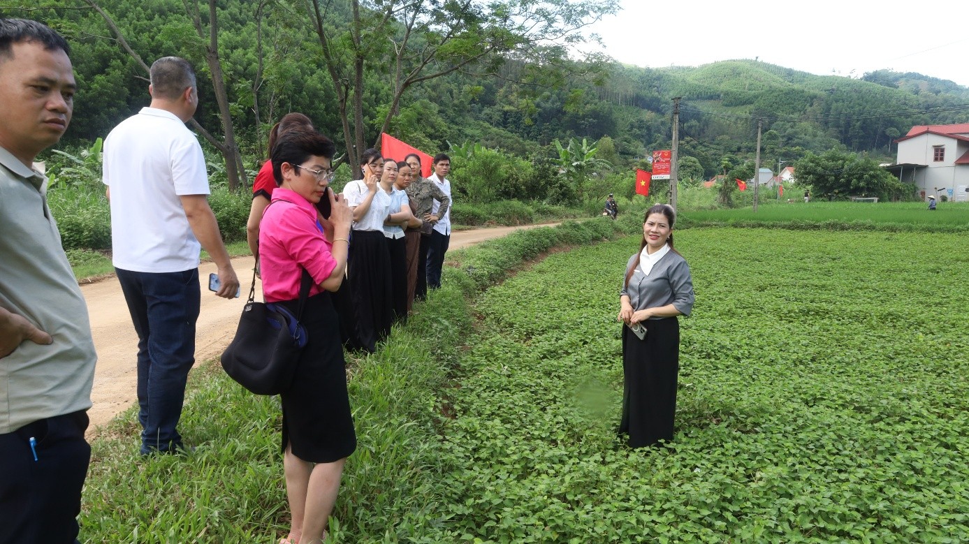 Nông sản Lạng Sơn tìm hướng bứt phá bằng chuyển đổi số Nông sản Lạng Sơn tìm hướng bứt phá bằng chuyển đổi số