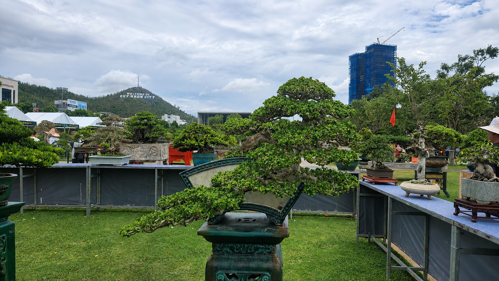 Chủ tịch Hội SVC Việt Nam phát động Cuộc thi Bonsai & Suiseki Việt Nam 2026 – Vòng loại khu vực miền Trung