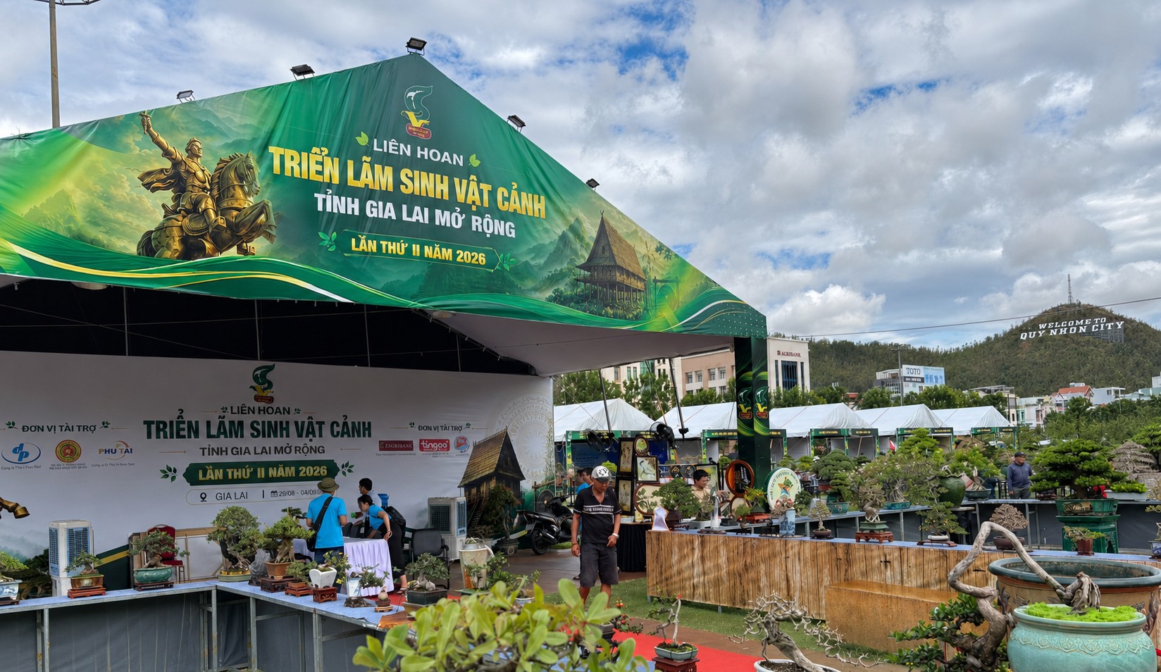 Duối “Rồng vàng đất Việt”, hải châu trĩu quả và những tuyệt phẩm sinh vật cảnh tại Gia Lai Duối “Rồng vàng đất Việt”, hải châu trĩu quả và những tuyệt phẩm sinh vật cảnh tại Gia Lai