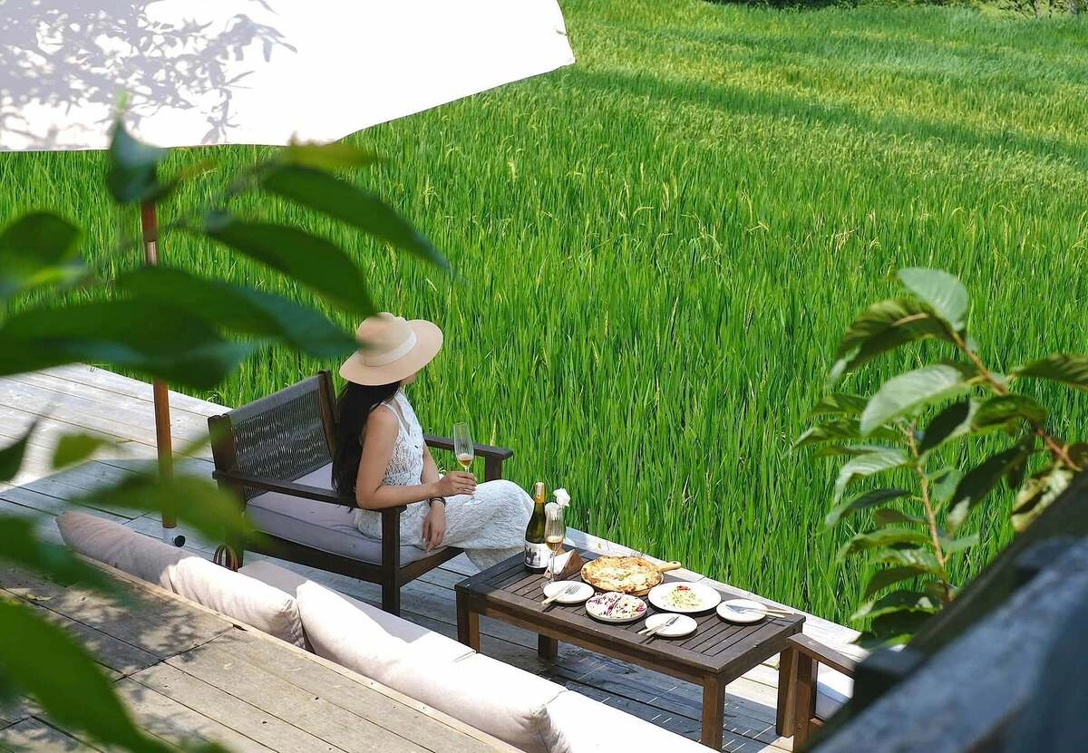 Mô hình cà phê giữa ruộng lúa: Hướng đi mới cho kinh tế sinh thái nông thôn Mô hình cà phê giữa ruộng lúa: Hướng đi mới cho kinh tế sinh thái nông thôn