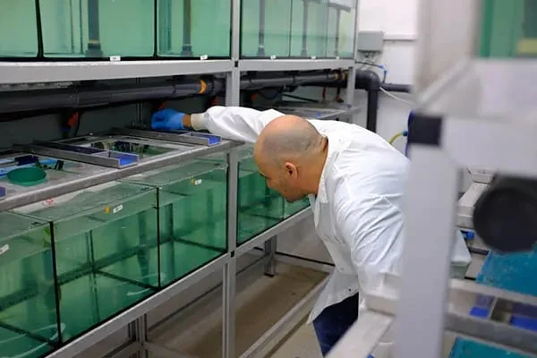 Nuôi cá bằng AI, quản lý tôm bằng RNA: Công nghệ Israel có gì đặc biệt? Nuôi cá bằng AI, quản lý tôm bằng RNA: Công nghệ Israel có gì đặc biệt?