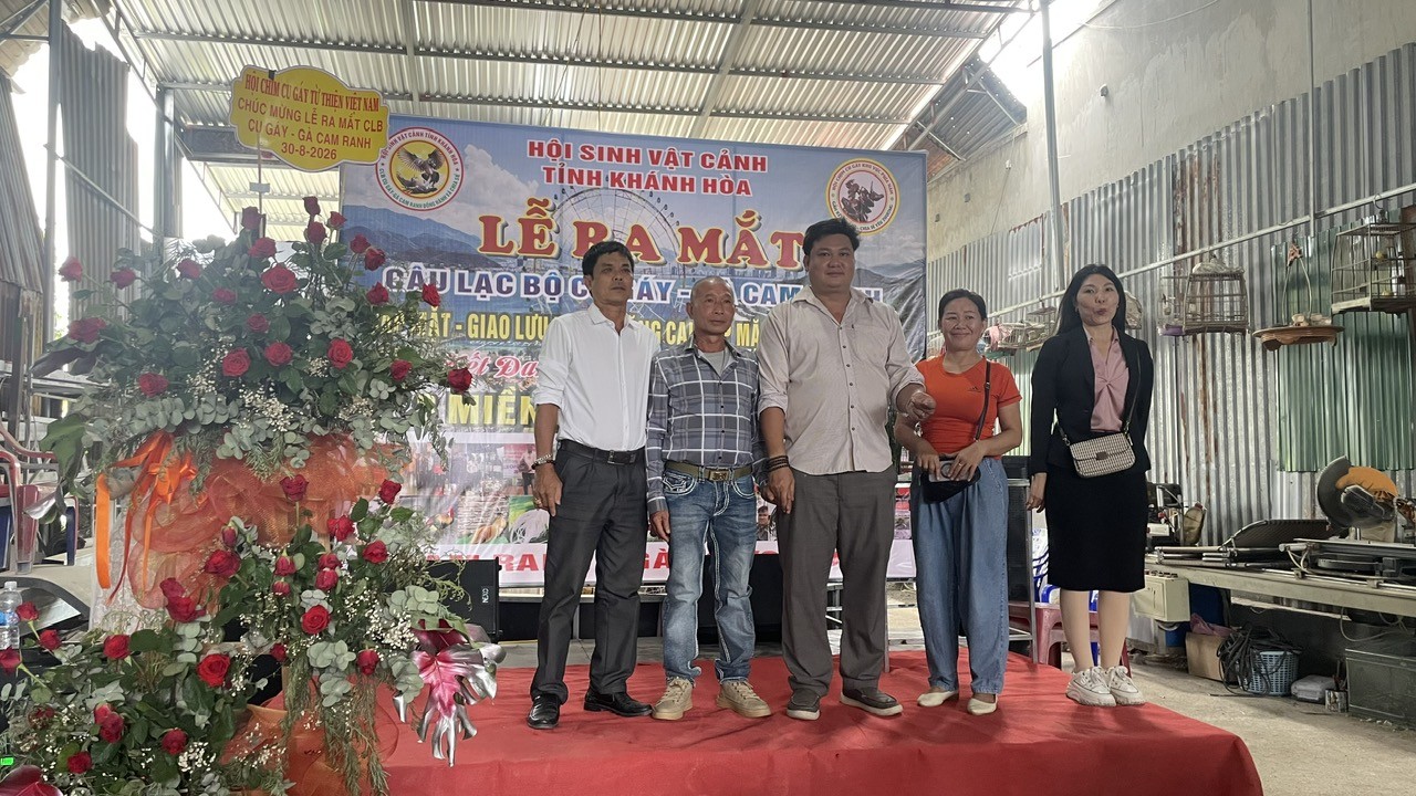Ra mắt Câu lạc bộ Chim Cu gáy và Gà cảnh Cam Ranh, kết nối đam mê ba miền Ra mắt Câu lạc bộ Chim Cu gáy và Gà cảnh Cam Ranh, kết nối đam mê ba miền