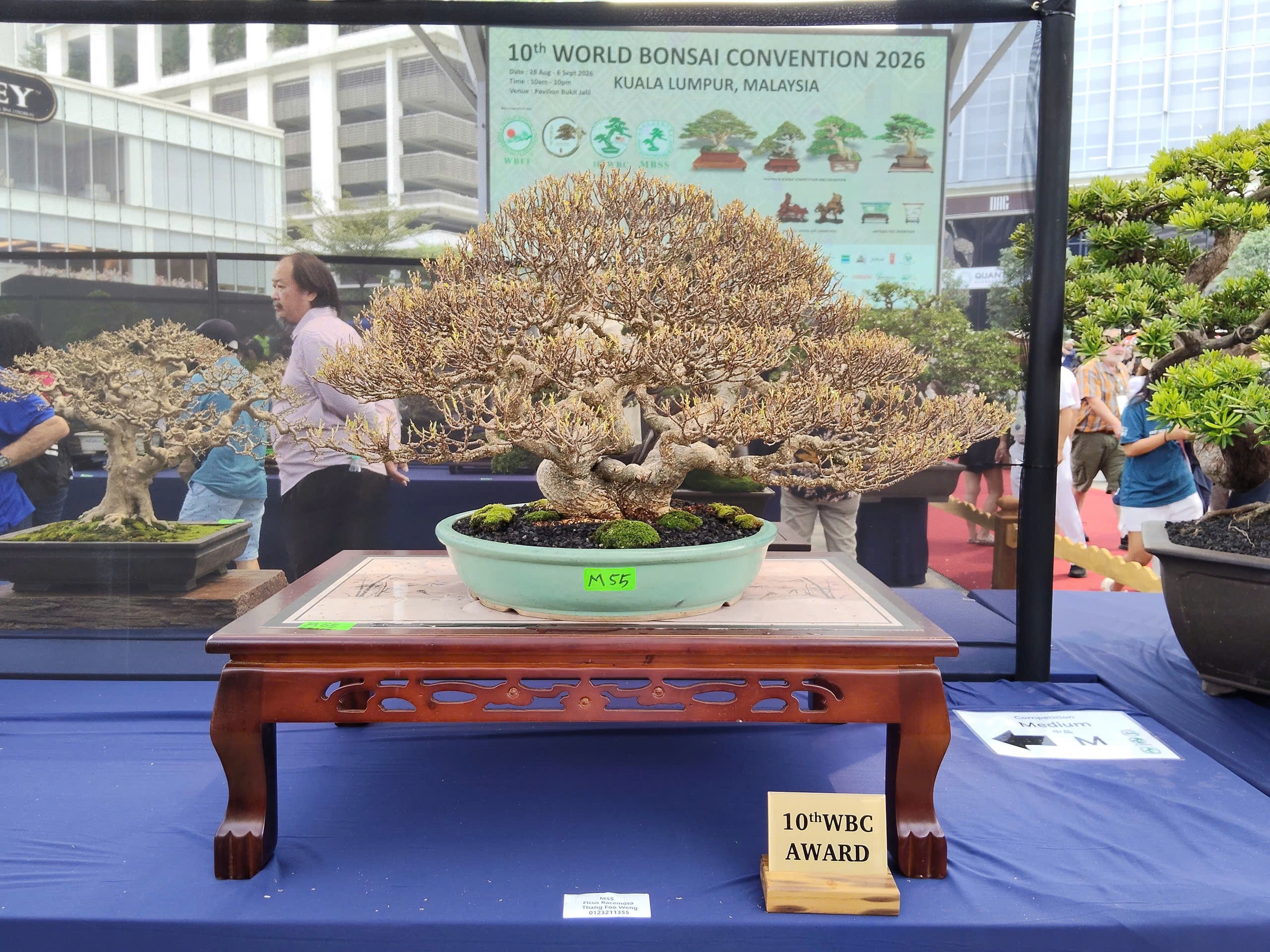 Tinh hoa nghệ thuật tại Hội thi và Trưng bày Bonsai & Suiseki Thế giới lần thứ 10
