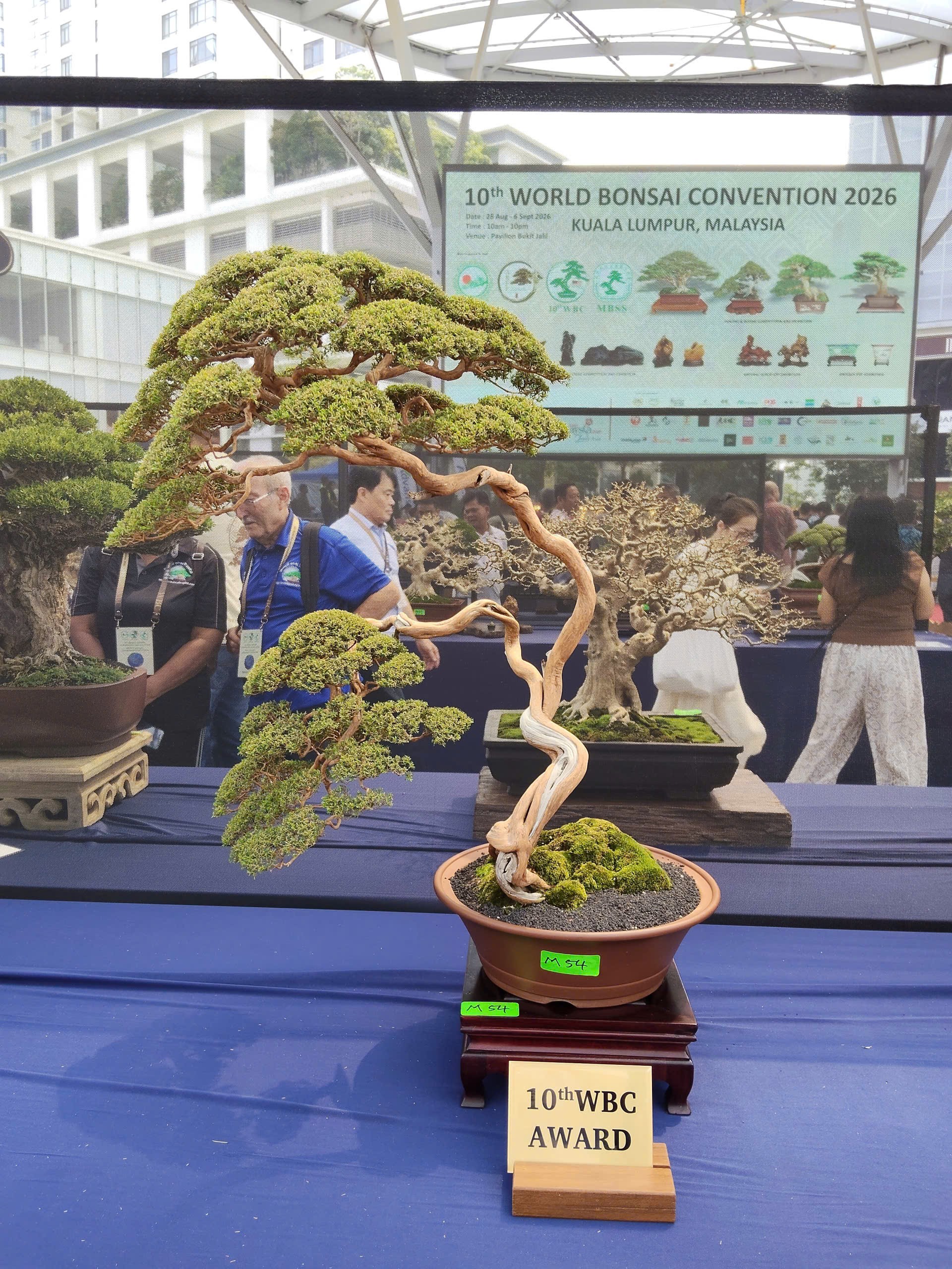Tinh hoa nghệ thuật tại Hội thi và Trưng bày Bonsai & Suiseki Thế giới lần thứ 10