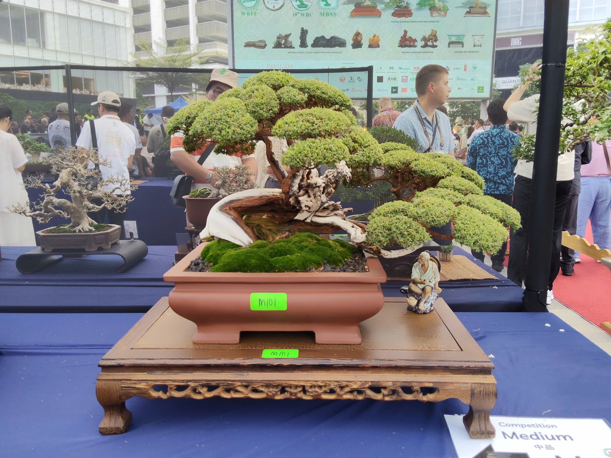 Tinh hoa nghệ thuật tại Hội thi và Trưng bày Bonsai & Suiseki Thế giới lần thứ 10