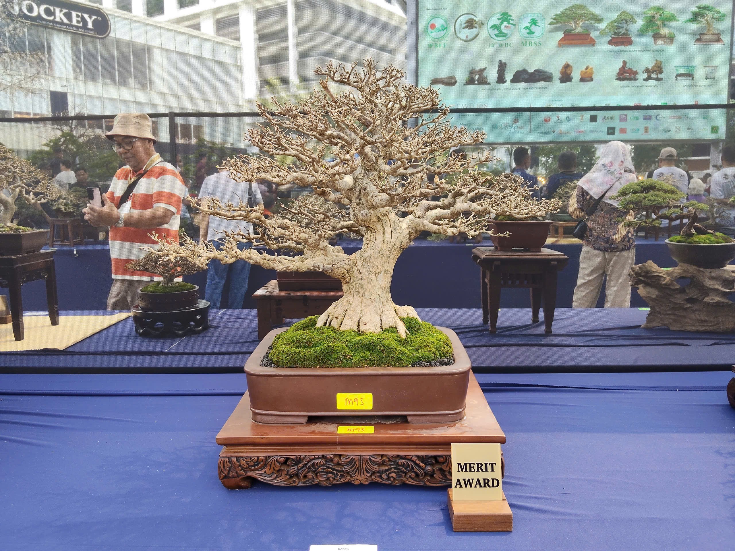 Tinh hoa nghệ thuật tại Hội thi và Trưng bày Bonsai & Suiseki Thế giới lần thứ 10