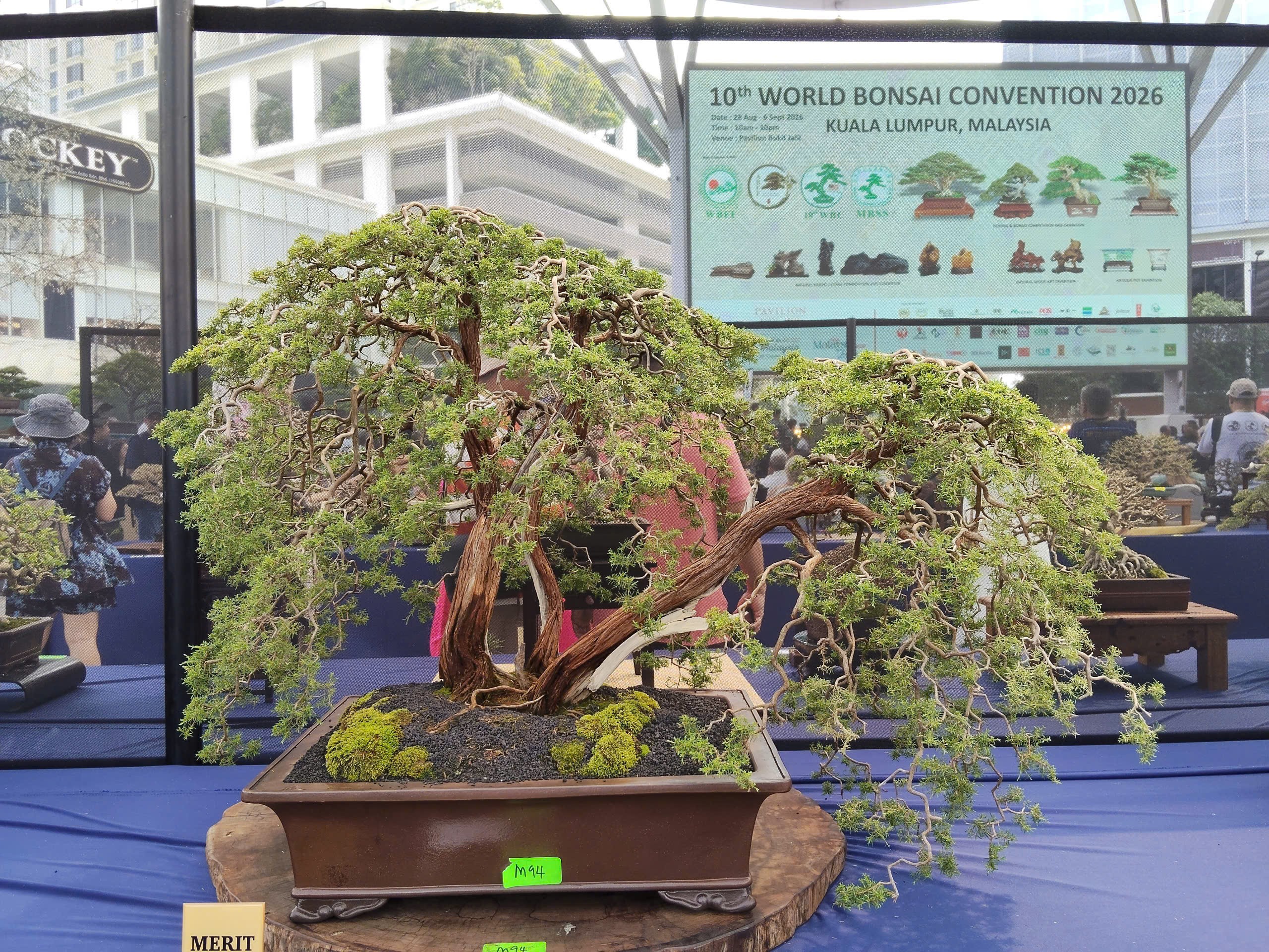 Tinh hoa nghệ thuật tại Hội thi và Trưng bày Bonsai & Suiseki Thế giới lần thứ 10