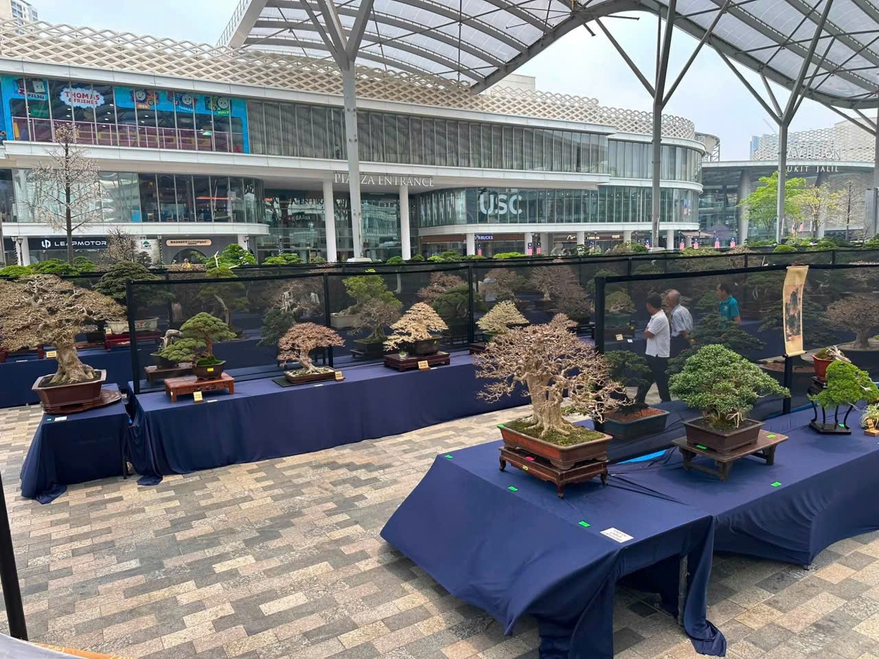 Tinh hoa nghệ thuật tại Hội thi và Trưng bày Bonsai & Suiseki Thế giới lần thứ 10