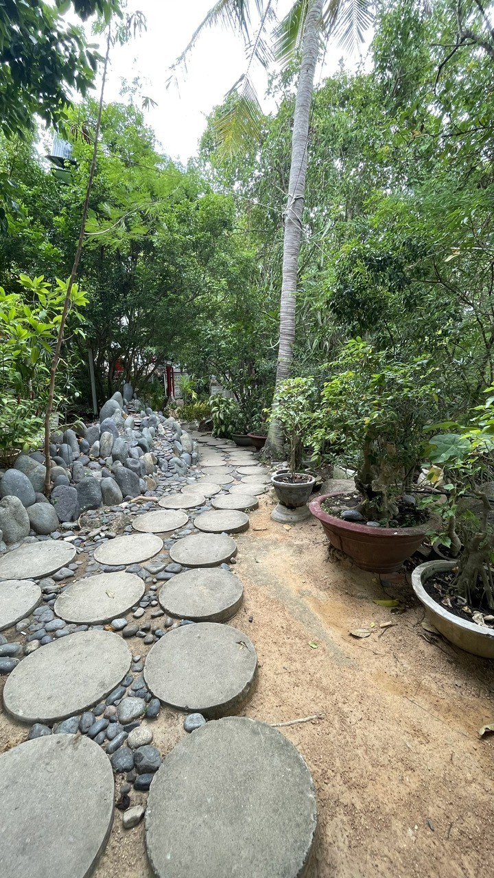 Vườn cây ở Chùa Từ Tôn – màu xanh kỳ công giữa biển trời Hòn Đỏ, Nha Trang