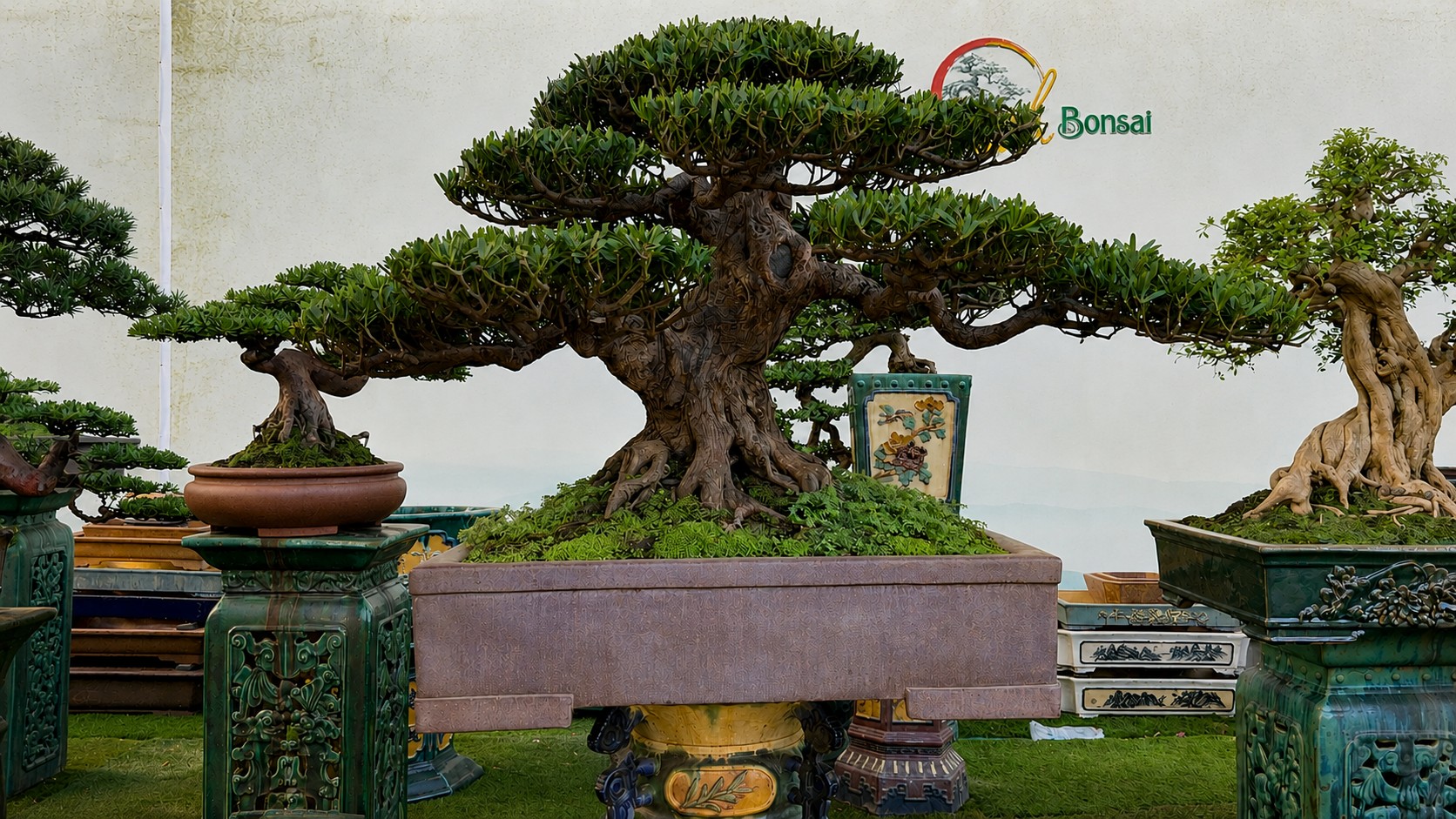 Hội Sinh vật cảnh Việt Nam đề nghị các địa phương đồng hành cùng Tạp chí Việt Nam hương sắc
