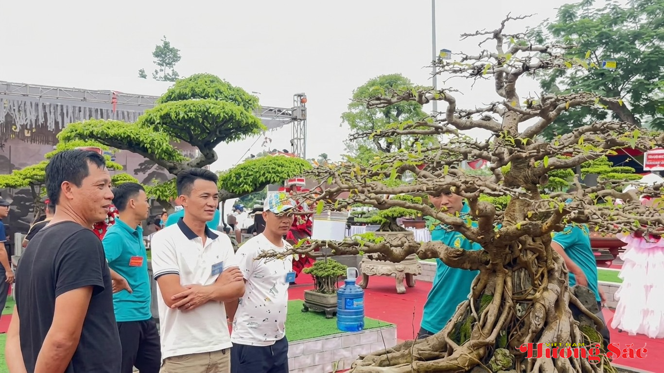 Hơn 300 tác phẩm cây cảnh nghệ thuật hội tụ tại triển lãm Xứ Nghệ dịp Quốc khánh 2/9 Hơn 300 tác phẩm cây cảnh nghệ thuật hội tụ tại triển lãm Xứ Nghệ dịp Quốc khánh 2/9