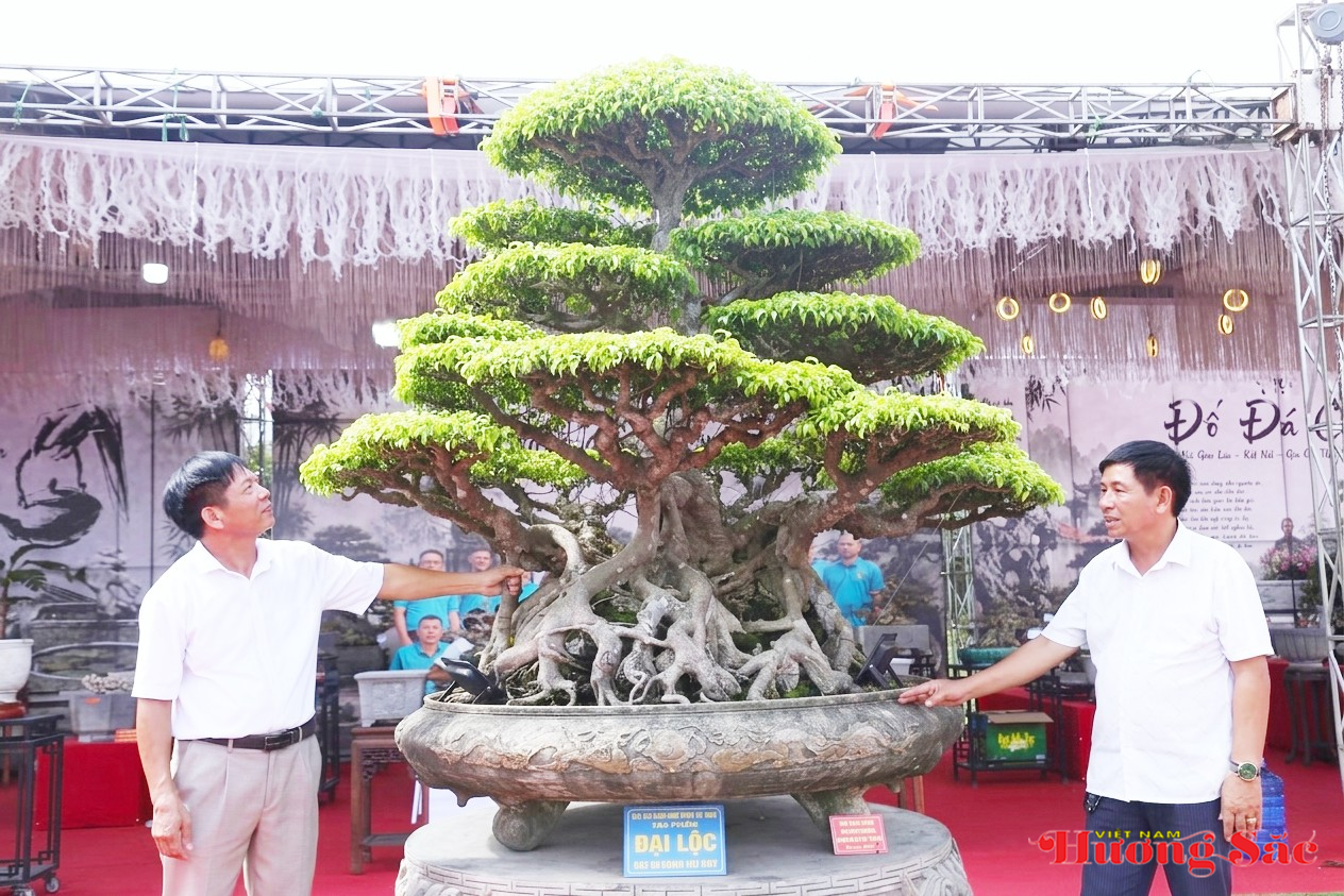 Hơn 300 tác phẩm cây cảnh nghệ thuật hội tụ tại triển lãm Xứ Nghệ dịp Quốc khánh 2/9 Hơn 300 tác phẩm cây cảnh nghệ thuật hội tụ tại triển lãm Xứ Nghệ dịp Quốc khánh 2/9