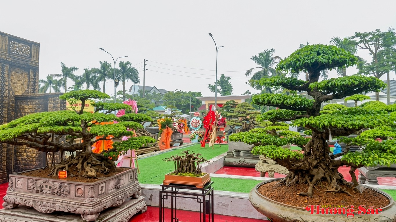 Hơn 300 tác phẩm cây cảnh nghệ thuật hội tụ tại triển lãm Xứ Nghệ dịp Quốc khánh 2/9 Hơn 300 tác phẩm cây cảnh nghệ thuật hội tụ tại triển lãm Xứ Nghệ dịp Quốc khánh 2/9