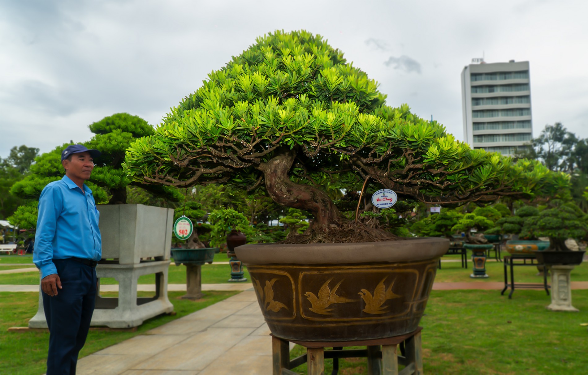 Dấu ấn Câu lạc bộ Sinh vật cảnh Xuân Lý tại Triển lãm Gia Lai mở rộng 2026 Dấu ấn Câu lạc bộ Sinh vật cảnh Xuân Lý tại Triển lãm Gia Lai mở rộng 2026