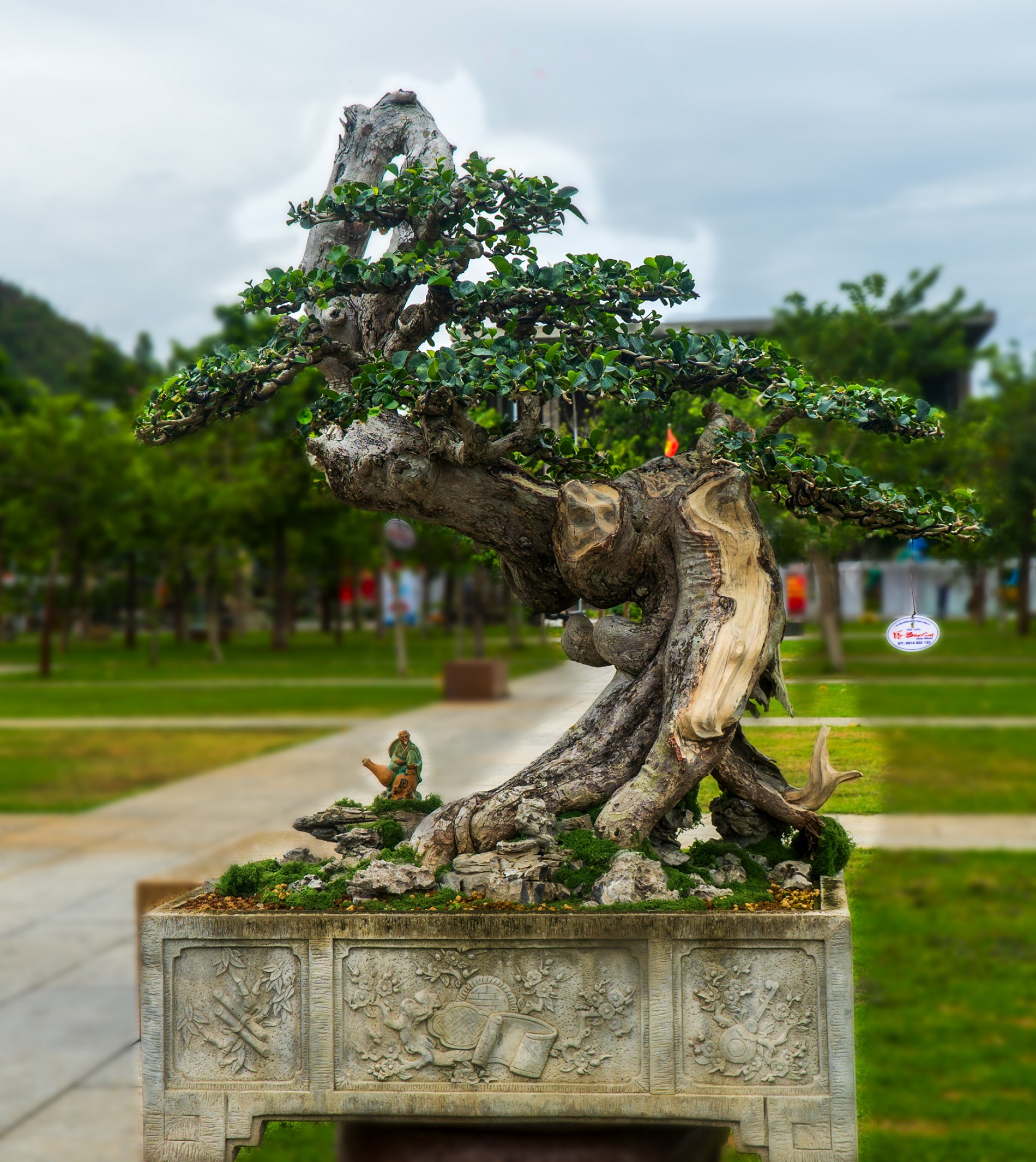 Dấu ấn Câu lạc bộ Sinh vật cảnh Xuân Lý tại Triển lãm Gia Lai mở rộng 2026 Dấu ấn Câu lạc bộ Sinh vật cảnh Xuân Lý tại Triển lãm Gia Lai mở rộng 2026