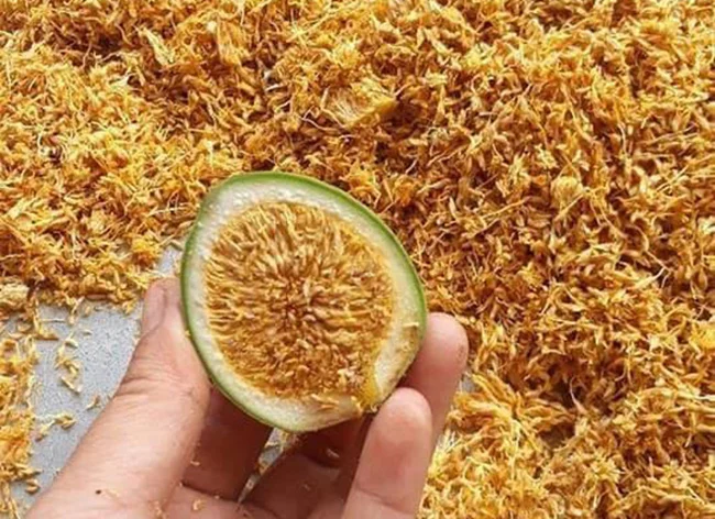 Đến Cao Bằng thử món thạch đặc biệt làm từ hạt một loại quả rừng Đến Cao Bằng thử món thạch đặc biệt làm từ hạt một loại quả rừng
