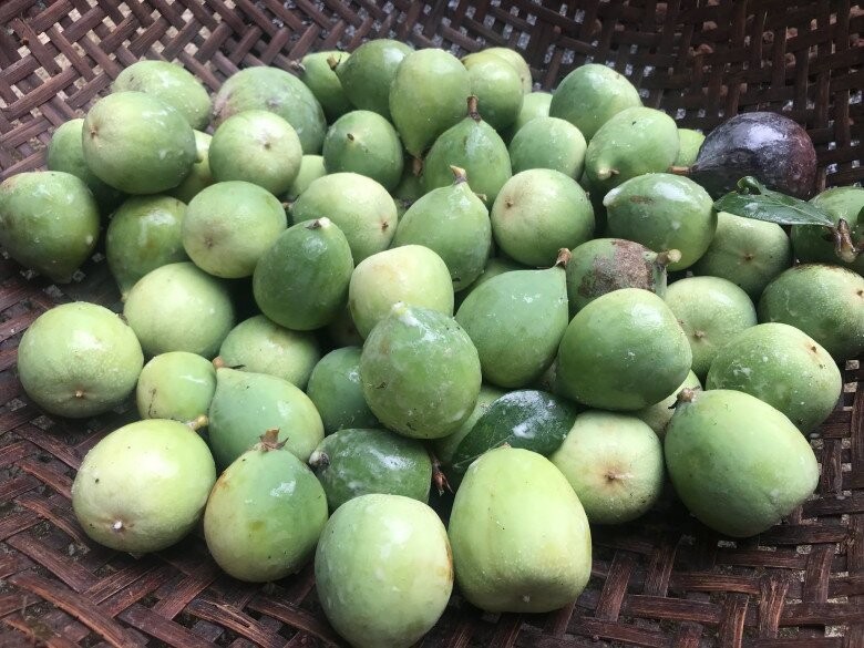 Đến Cao Bằng thử món thạch đặc biệt làm từ hạt một loại quả rừng Đến Cao Bằng thử món thạch đặc biệt làm từ hạt một loại quả rừng