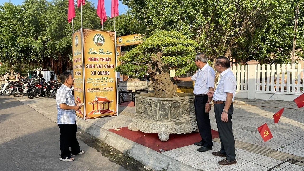 500 tác phẩm hội tụ tại Tuần lễ Văn hóa nghệ thuật sinh vật cảnh Xứ Quảng 500 tác phẩm hội tụ tại Tuần lễ Văn hóa nghệ thuật sinh vật cảnh Xứ Quảng