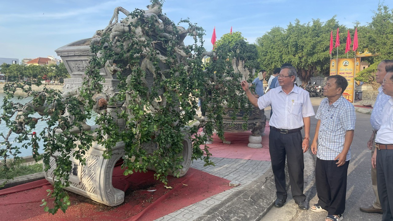 500 tác phẩm hội tụ tại Tuần lễ Văn hóa nghệ thuật sinh vật cảnh Xứ Quảng 500 tác phẩm hội tụ tại Tuần lễ Văn hóa nghệ thuật sinh vật cảnh Xứ Quảng