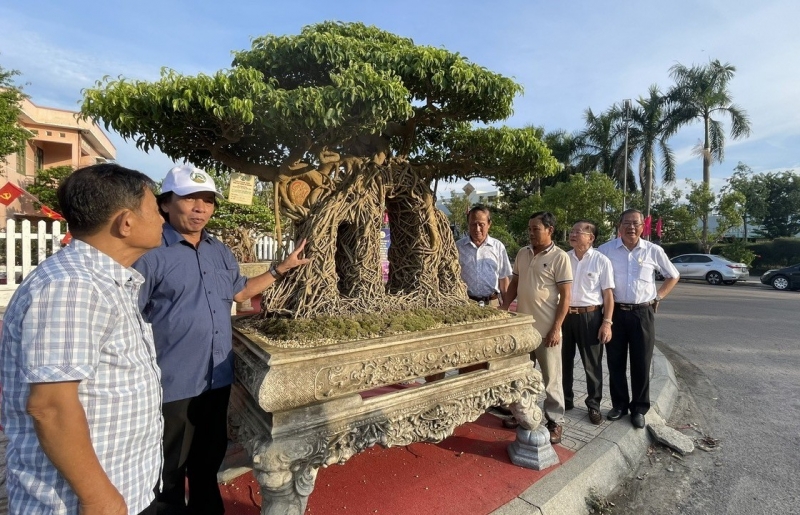 Sanh cổ tạo dáng “Cổng làng” gây chú ý tại Tuần lễ Văn hóa nghệ thuật sinh vật cảnh Xứ Quảng