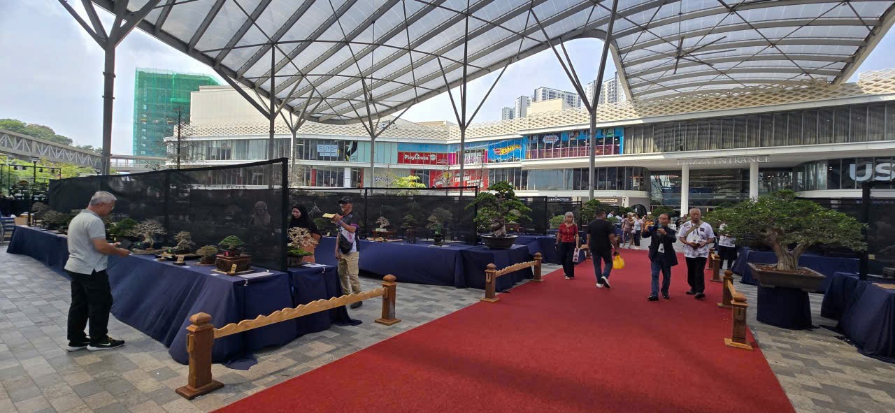 Kuala lumpur rực sắc bonsai – Ngày hội bonsai thế giới lần thứ 10 hội tụ tinh hoa nghệ thuật quốc tế Kuala lumpur rực sắc bonsai – Ngày hội bonsai thế giới lần thứ 10 hội tụ tinh hoa nghệ thuật quốc tế