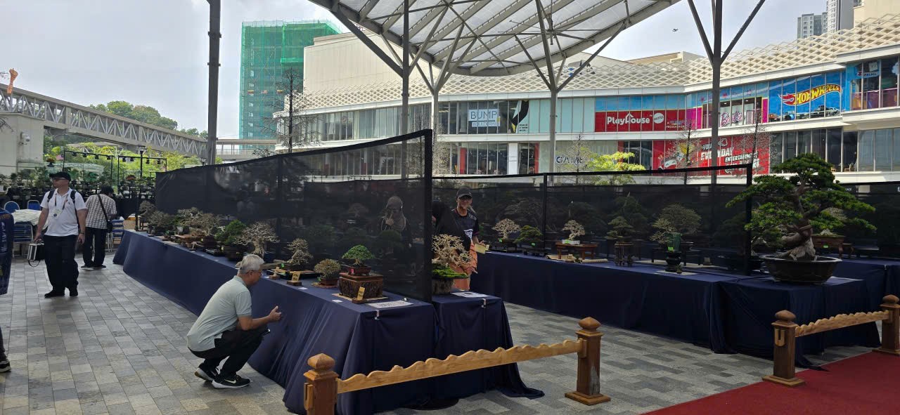 Kuala lumpur rực sắc bonsai – Ngày hội bonsai thế giới lần thứ 10 hội tụ tinh hoa nghệ thuật quốc tế Kuala lumpur rực sắc bonsai – Ngày hội bonsai thế giới lần thứ 10 hội tụ tinh hoa nghệ thuật quốc tế