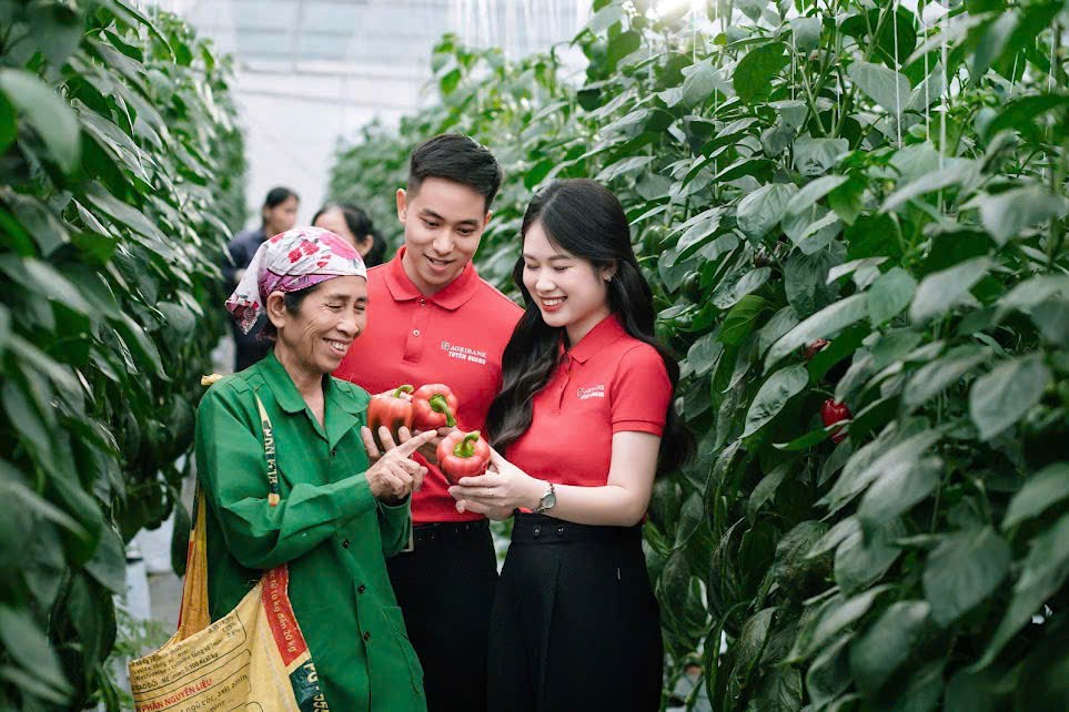 Bộ Nông nghiệp và Môi trường công bố thủ tục kiểm dịch thực vật sửa đổi Bộ Nông nghiệp và Môi trường công bố thủ tục kiểm dịch thực vật sửa đổi