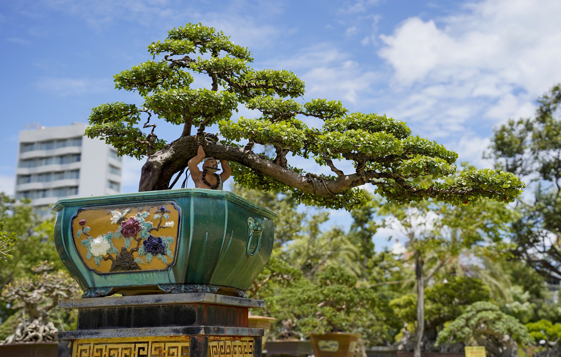 Ghi nhận qua liên hoan Triển lãm Sinh vật cảnh tỉnh Gia Lai mở rộng lần thứ II năm 2026 Ghi nhận qua liên hoan Triển lãm Sinh vật cảnh tỉnh Gia Lai mở rộng lần thứ II năm 2026