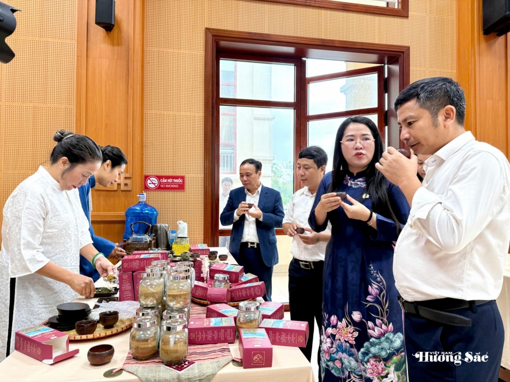 Sen - Từ hương sắc truyền thống đến giá trị kinh tế đa chiều Sen - Từ hương sắc truyền thống đến giá trị kinh tế đa chiều