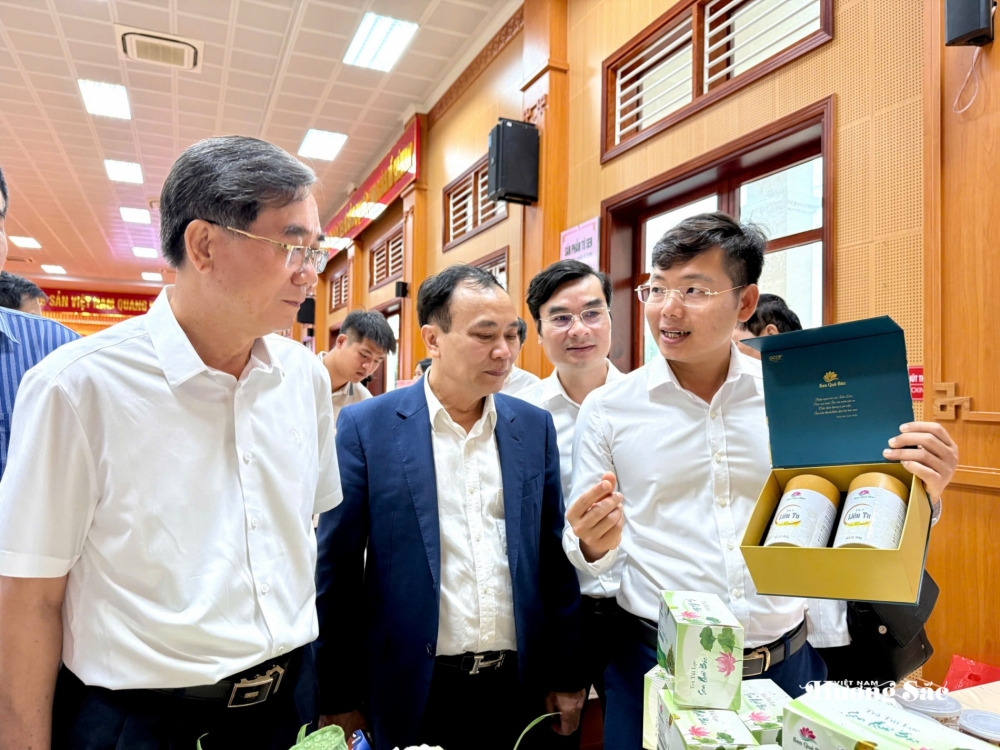 Sen - Từ hương sắc truyền thống đến giá trị kinh tế đa chiều Sen - Từ hương sắc truyền thống đến giá trị kinh tế đa chiều