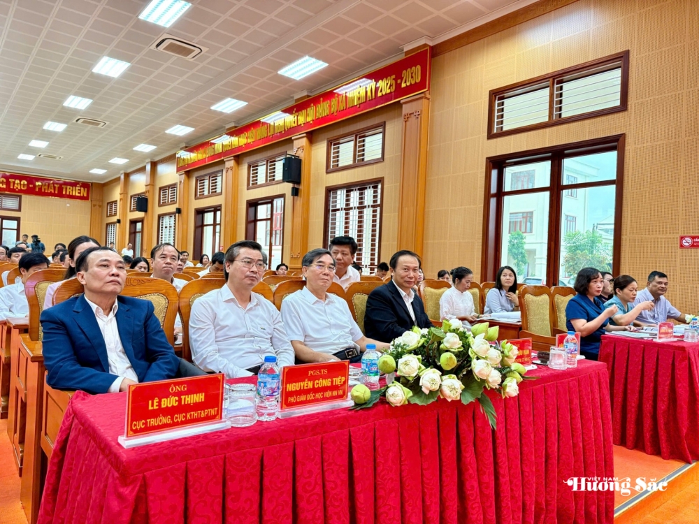 Sen - Từ hương sắc truyền thống đến giá trị kinh tế đa chiều Sen - Từ hương sắc truyền thống đến giá trị kinh tế đa chiều