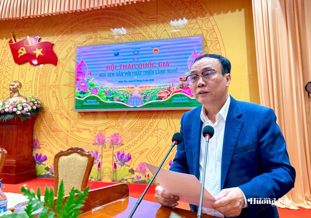 Sen - Từ hương sắc truyền thống đến giá trị kinh tế đa chiều Sen - Từ hương sắc truyền thống đến giá trị kinh tế đa chiều