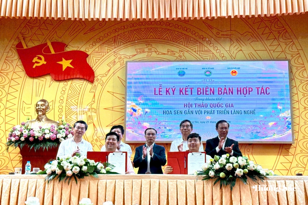 Sen - Từ hương sắc truyền thống đến giá trị kinh tế đa chiều Sen - Từ hương sắc truyền thống đến giá trị kinh tế đa chiều