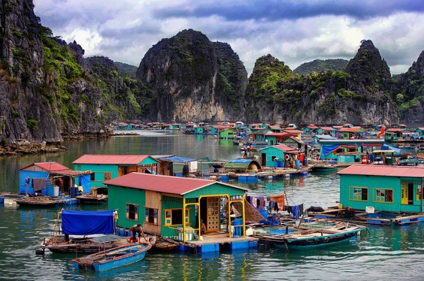 Làng chài Cái Bèo – dấu ấn làng cổ giữa vùng biển Cát Bà Làng chài Cái Bèo – dấu ấn làng cổ giữa vùng biển Cát Bà