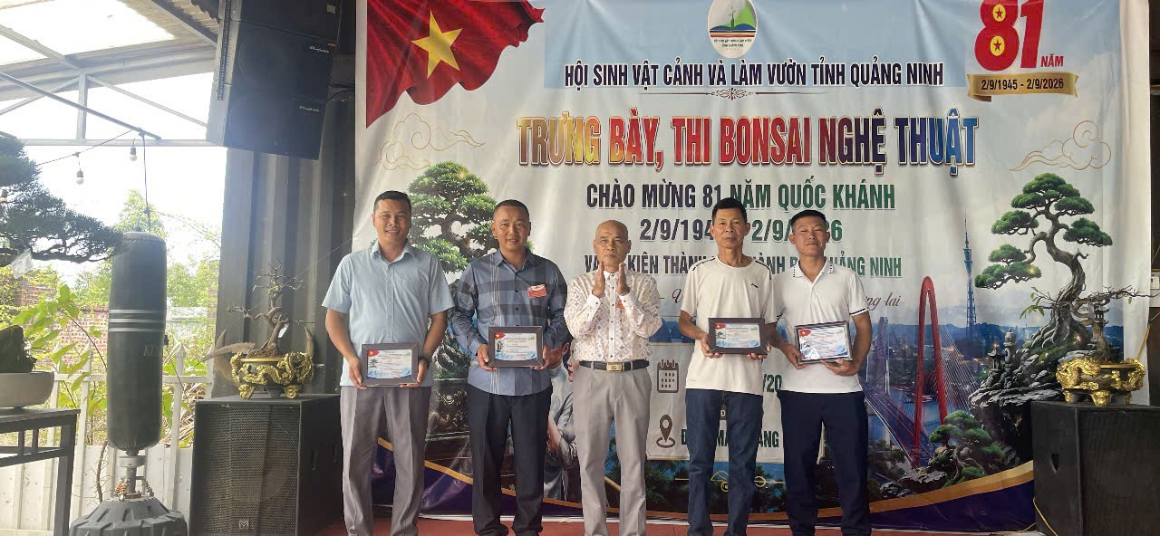 Quảng Ninh: Bonsai nghệ thuật – Góp thêm sắc xanh cho vận hội mới Quảng Ninh: Bonsai nghệ thuật – Góp thêm sắc xanh cho vận hội mới