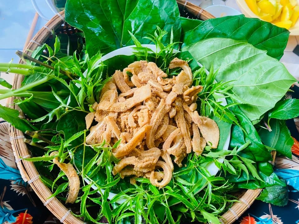 Những sai lầm phổ biến khi ăn lá đinh lăng khiến bổ hóa độc Những sai lầm phổ biến khi ăn lá đinh lăng khiến bổ hóa độc
