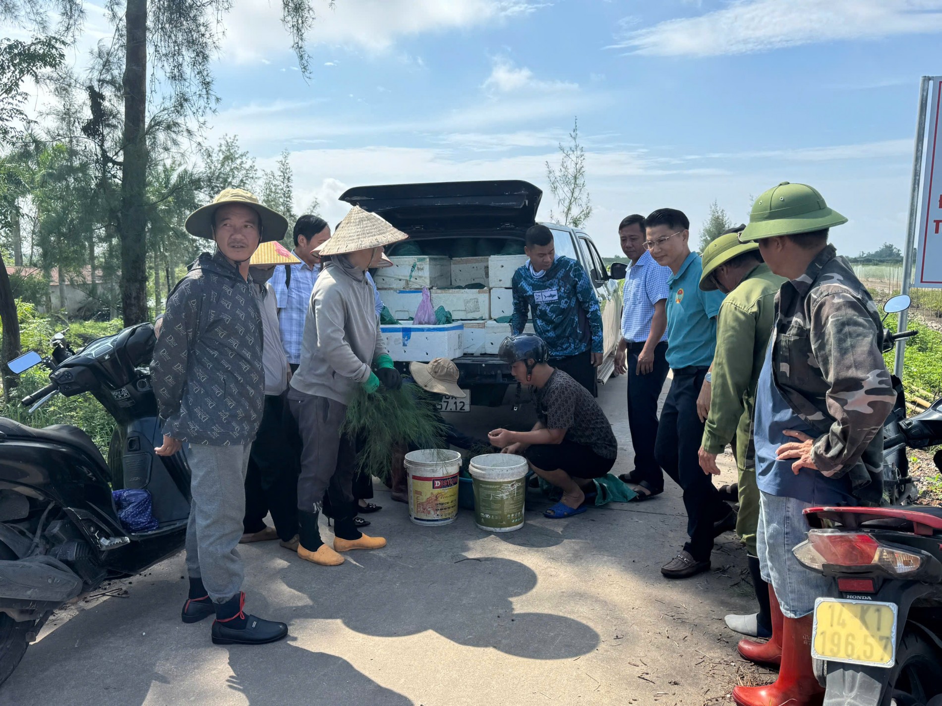 Quảng Ninh: Mở rộng không gian sinh kế từ những cánh rừng ngập mặn Quảng Ninh: Mở rộng không gian sinh kế từ những cánh rừng ngập mặn
