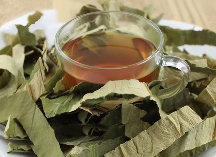 Thứ ai cũng bỏ đi trên cây mướp, hóa ra lại có công dụng không ngờ Thứ ai cũng bỏ đi trên cây mướp, hóa ra lại có công dụng không ngờ