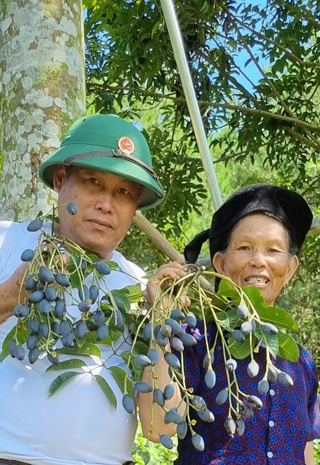 2 loại cây chịu rét, hợp đất đồi đang giúp một nông dân Lạng Sơn đổi vận 2 loại cây chịu rét, hợp đất đồi đang giúp một nông dân Lạng Sơn đổi vận