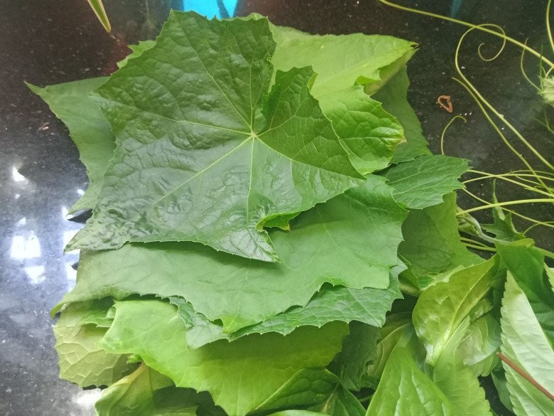 Thứ ai cũng bỏ đi trên cây mướp, hóa ra lại có công dụng không ngờ Thứ ai cũng bỏ đi trên cây mướp, hóa ra lại có công dụng không ngờ