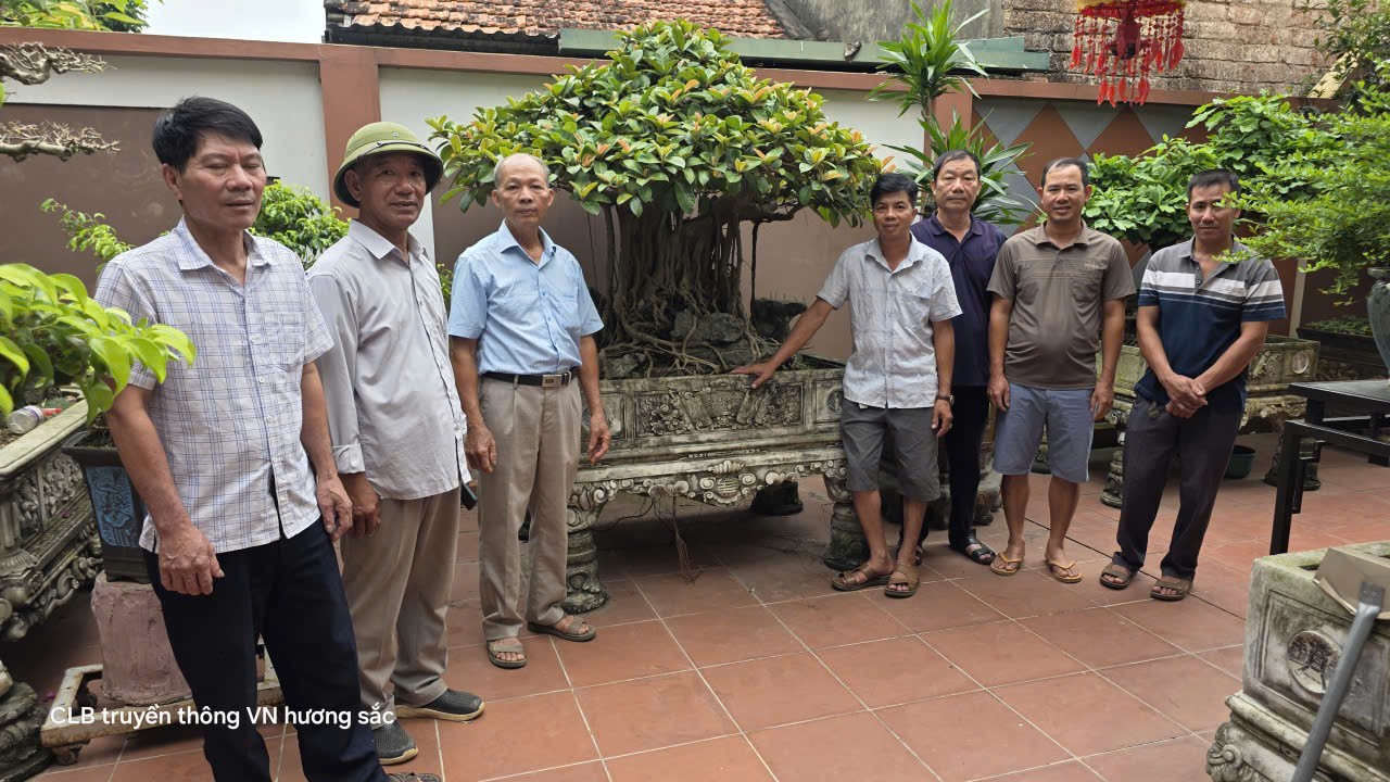 Không gian sống xanh và tình yêu bonsai gần 30 năm của nghệ nhân Phùng Văn Thường