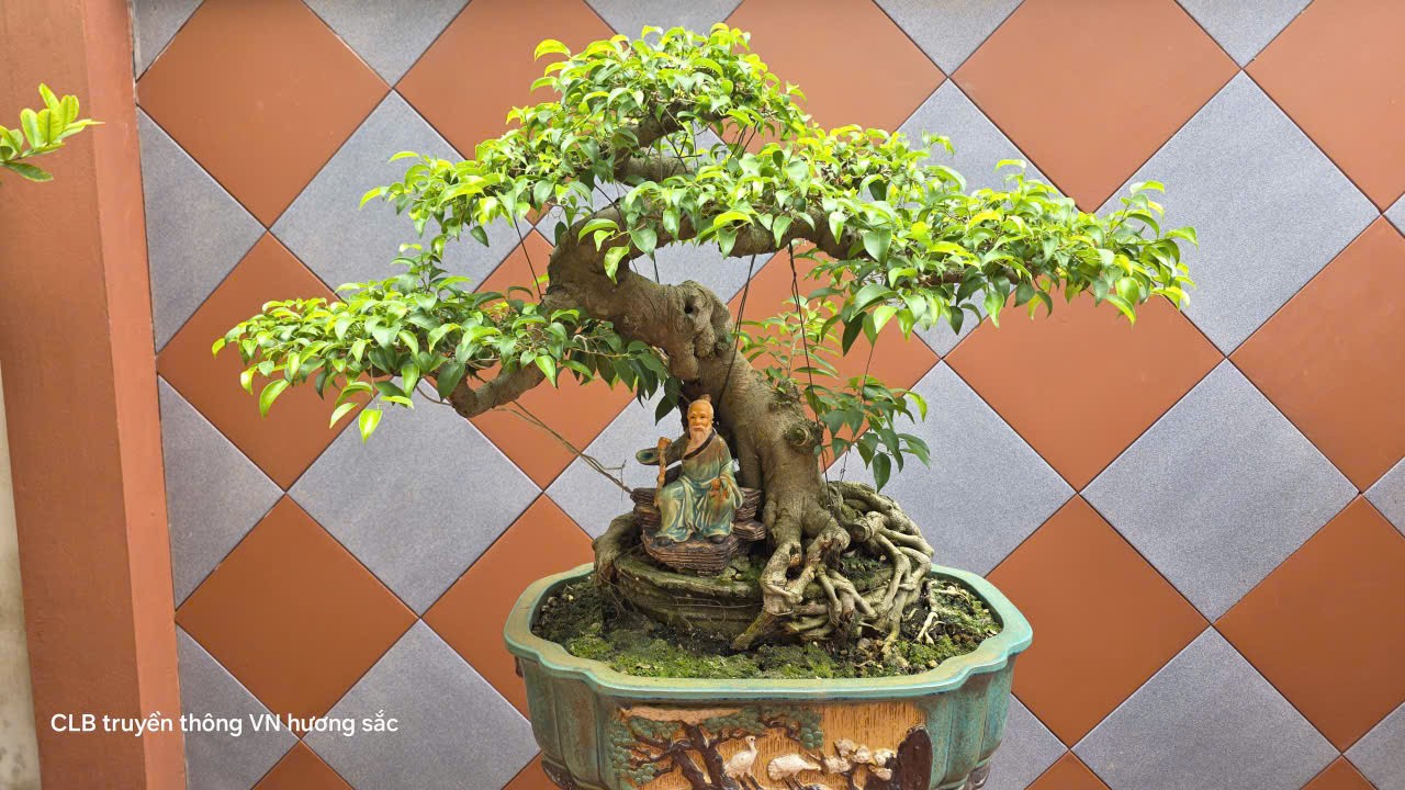 Không gian sống xanh và tình yêu bonsai gần 30 năm của nghệ nhân Phùng Văn Thường