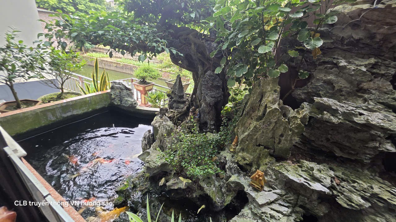 Không gian sống xanh và tình yêu bonsai gần 30 năm của nghệ nhân Phùng Văn Thường
