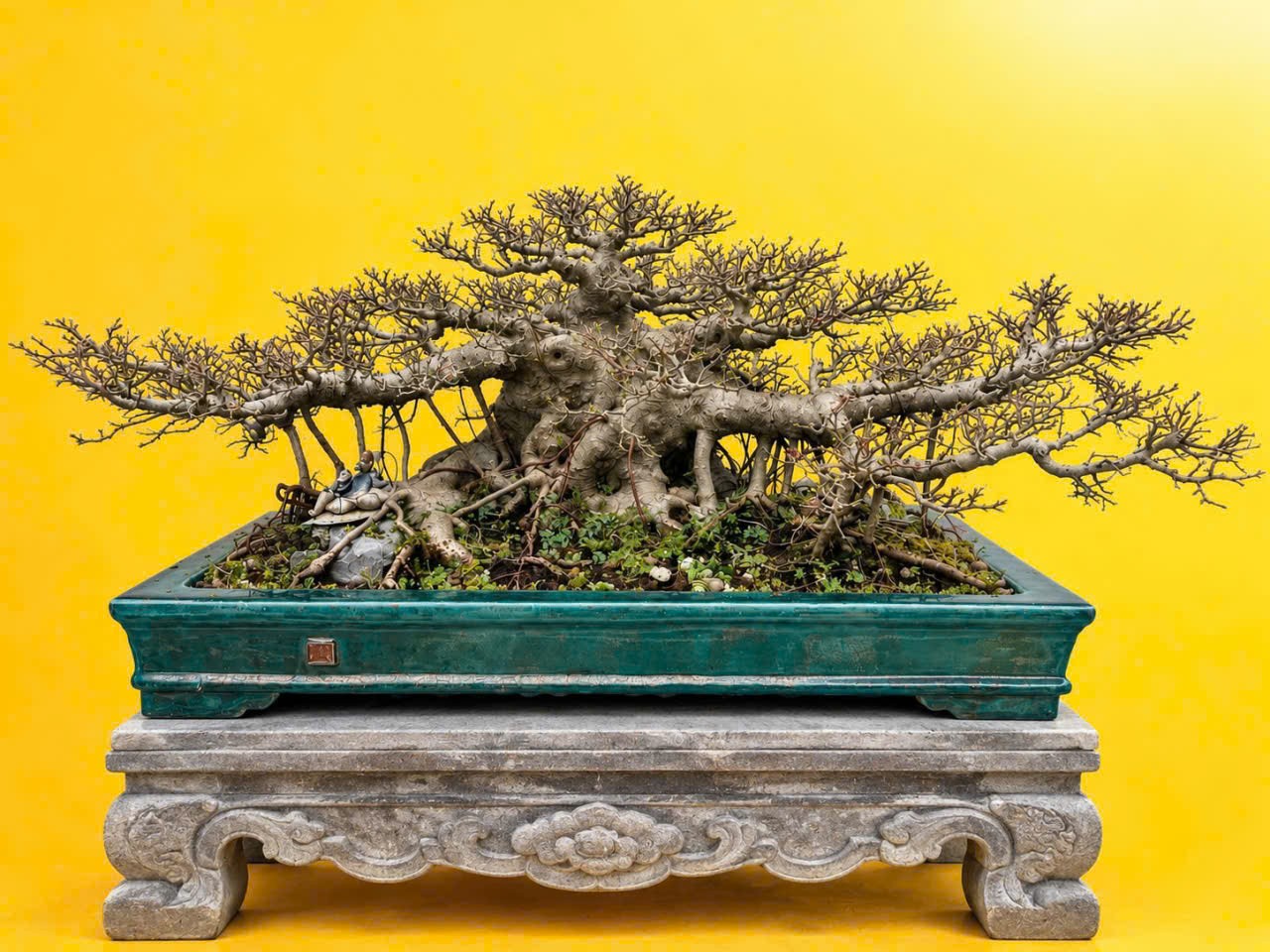 “Quê Nhà” – Khi bonsai kể chuyện làng quê “Quê Nhà” – Khi bonsai kể chuyện làng quê