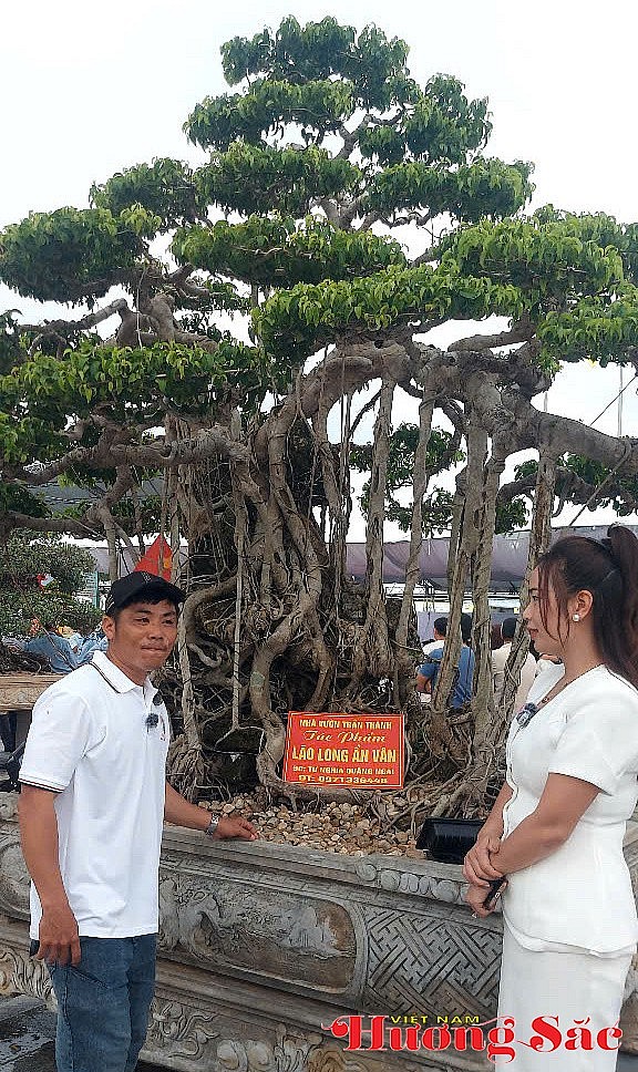 Quảng Ngãi: Hội tụ tinh hoa sinh vật cảnh các vùng miền Quảng Ngãi: Hội tụ tinh hoa sinh vật cảnh các vùng miền