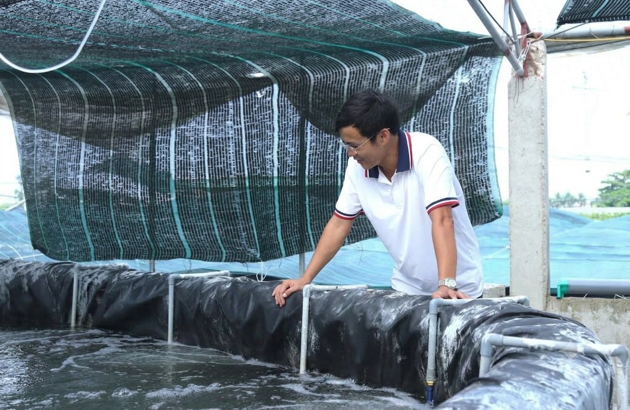 Vay gần 4 tỷ đồng nuôi tôm công nghệ cao, nông dân Nghệ An trở thành tỷ phú Vay gần 4 tỷ đồng nuôi tôm công nghệ cao, nông dân Nghệ An trở thành tỷ phú