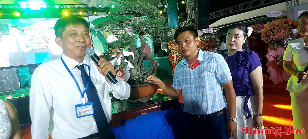 Kỷ niệm 2 năm thành lập CLB SVC Thiên Bút: Dấu ấn cây cảnh nghệ thuật Quảng Ngãi Kỷ niệm 2 năm thành lập CLB SVC Thiên Bút: Dấu ấn cây cảnh nghệ thuật Quảng Ngãi
