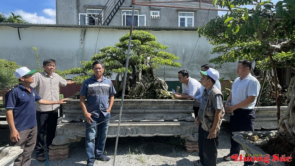 Kỷ niệm 2 năm thành lập CLB SVC Thiên Bút: Dấu ấn cây cảnh nghệ thuật Quảng Ngãi Kỷ niệm 2 năm thành lập CLB SVC Thiên Bút: Dấu ấn cây cảnh nghệ thuật Quảng Ngãi