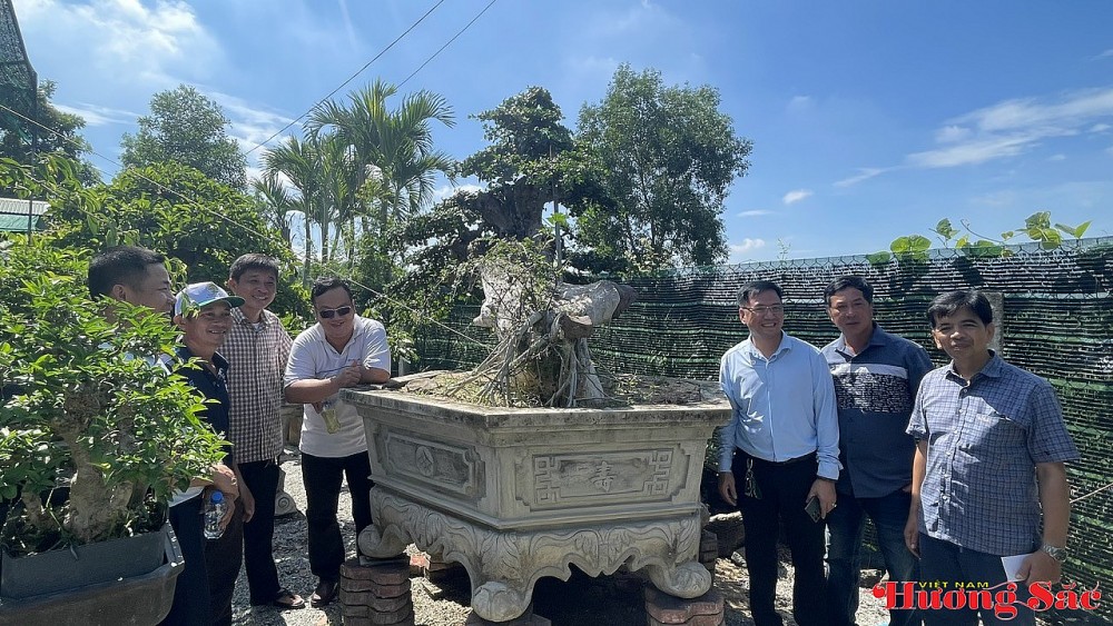 Kỷ niệm 2 năm thành lập CLB SVC Thiên Bút: Dấu ấn cây cảnh nghệ thuật Quảng Ngãi Kỷ niệm 2 năm thành lập CLB SVC Thiên Bút: Dấu ấn cây cảnh nghệ thuật Quảng Ngãi